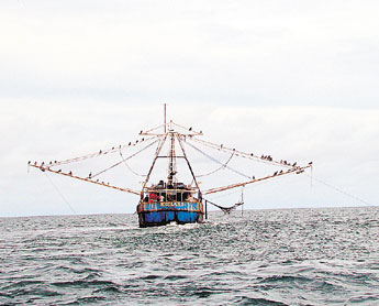 haga click para ampliar la imagen