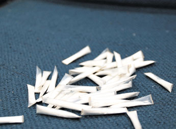 haga click para ampliar la imagen