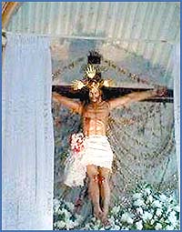 Imagen foto