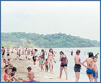 Imagen foto
