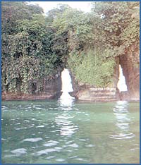 Imagen foto