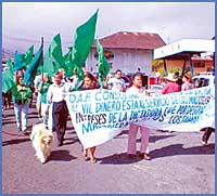 Imagen foto