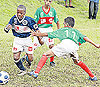 haga click para ampliar la imagen
