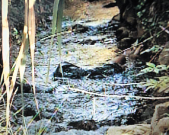 haga click para ampliar la imagen