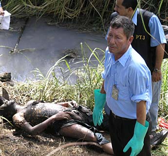 Imagen foto