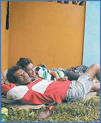 Imagen foto
