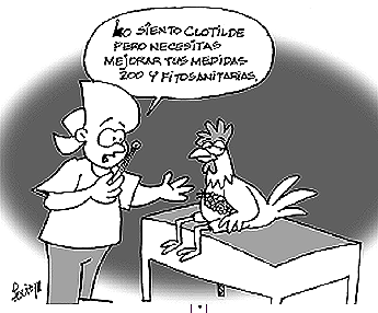 Imagen foto