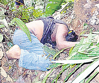 haga click para ampliar la imagen