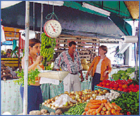 Imagen foto