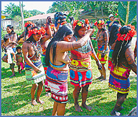 Imagen foto