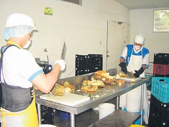 Imagen foto