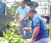 haga click para ampliar la imagen
