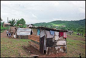 Imagen foto