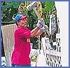 Imagen foto