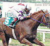 haga click para ampliar la imagen