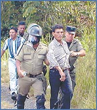 Imagen foto