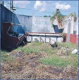 Imagen foto