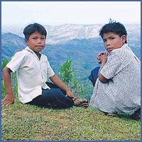 Imagen foto