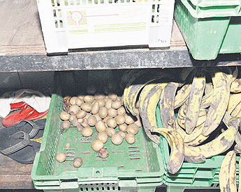 haga click para ampliar la imagen