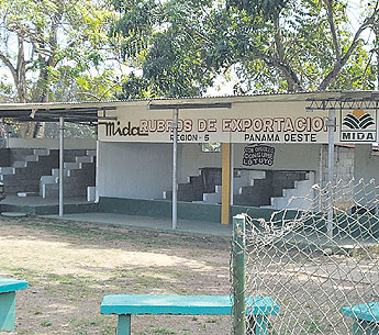 haga click para ampliar la imagen