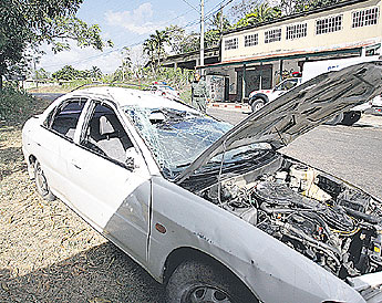 haga click para ampliar la imagen