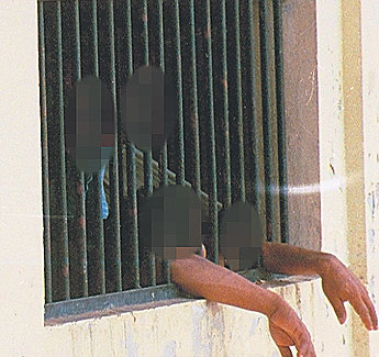 haga click para ampliar la imagen