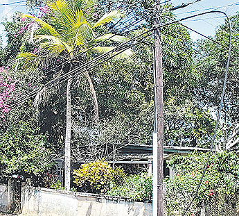 haga click para ampliar la imagen