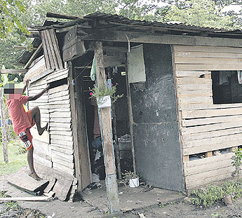 haga click para ampliar la imagen