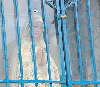 haga click para ampliar la imagen