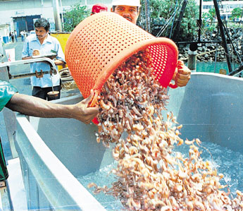 haga click para ampliar la imagen