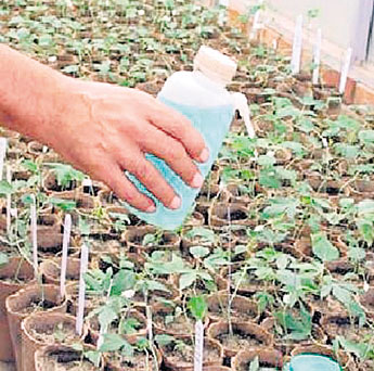 haga click para ampliar la imagen