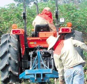 haga click para ampliar la imagen