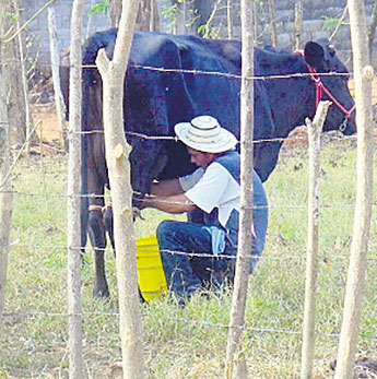 haga click para ampliar la imagen