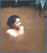 Imagen foto