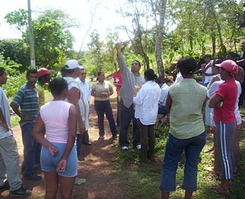 Imagen foto