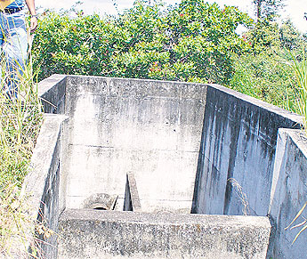 haga click para ampliar la imagen