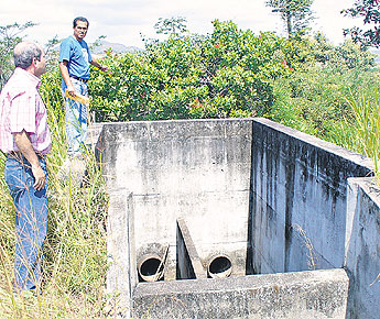 haga click para ampliar la imagen