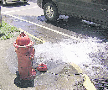 haga click para ampliar la imagen