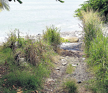 haga click para ampliar la imagen