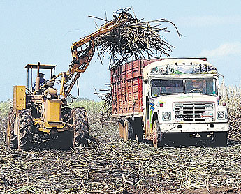 haga click para ampliar la imagen