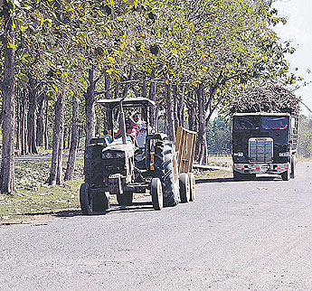 haga click para ampliar la imagen