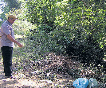 haga click para ampliar la imagen