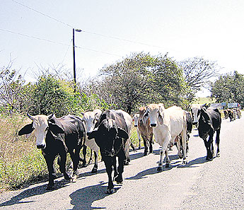 haga click para ampliar la imagen