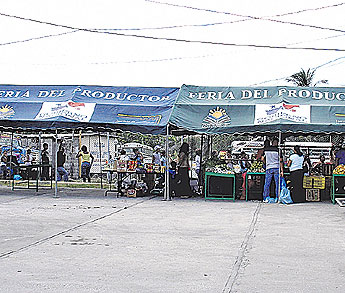 haga click para ampliar la imagen