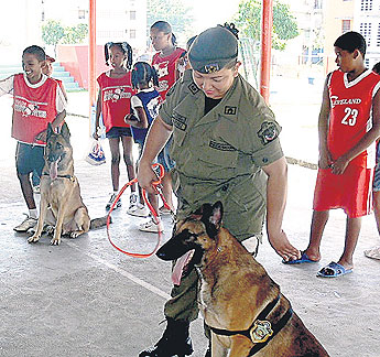 haga click para ampliar la imagen