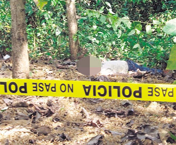 haga click para ampliar la imagen