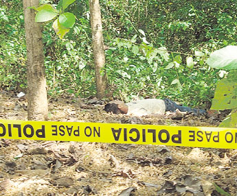 haga click para ampliar la imagen