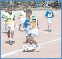 Imagen foto