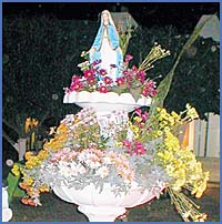 Imagen foto