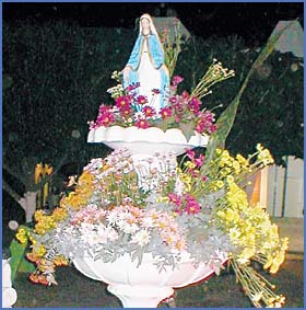 Imagen foto